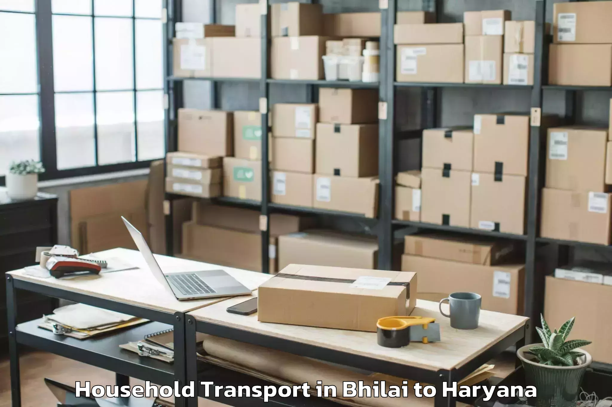 Affordable Bhilai to Mvn University Palwal Household Transport